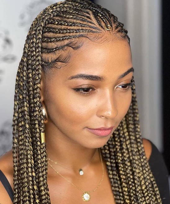 Men's Long Hairstyles Braids