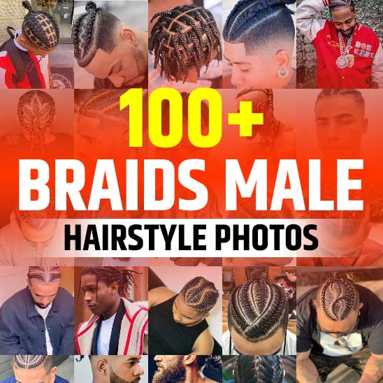 Braids Male Hairstyle