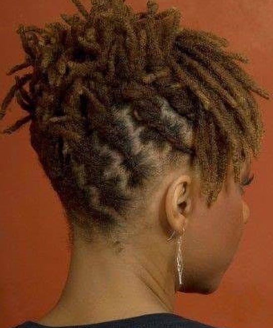 Dreads Ponytail Hairstyle