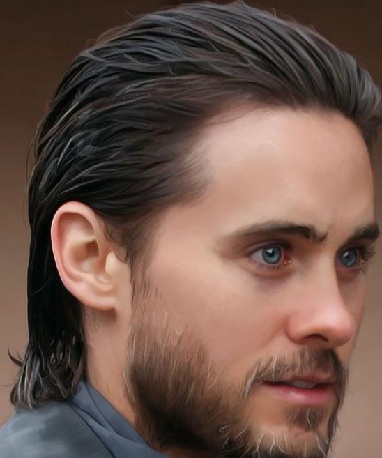 Mens Long Professional Hairstyles